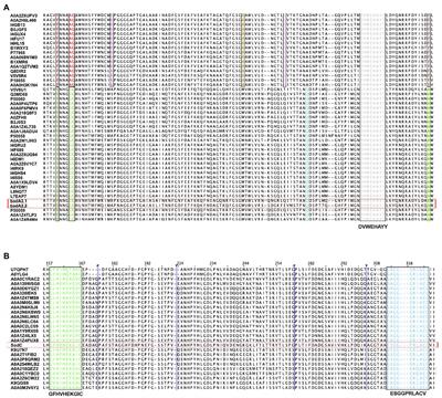 Genome-Wide Identification and Bioinformatics Characterization of Superoxide Dismutases in the Desiccation-Tolerant Cyanobacterium Chroococcidiopsis sp. CCMEE 029